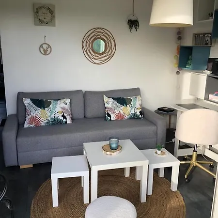 Apartament T2 Avec Piscine Et Terrasse Dans Arboree La Rochelle (Charente-Maritime)